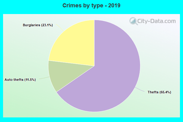 Crimes by type - 2019