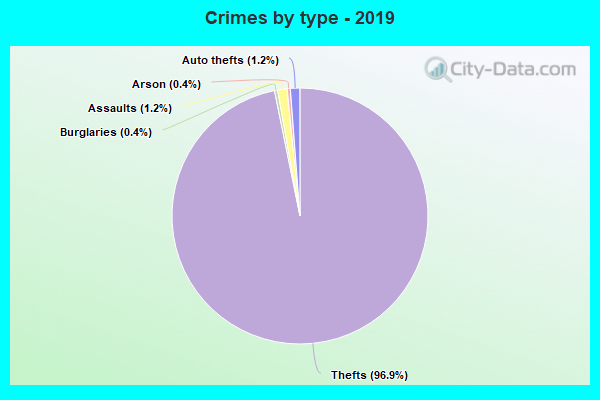 Crimes by type - 2019