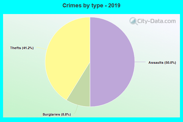 Crimes by type - 2019