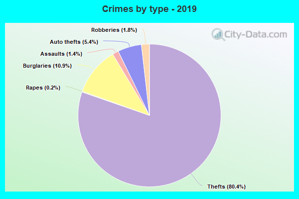 Crimes by type - 2019