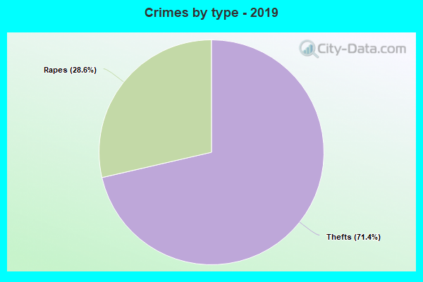 Crimes by type - 2019