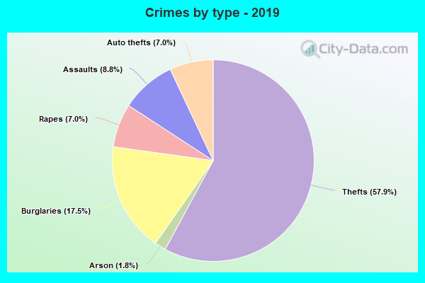 Crimes by type - 2019