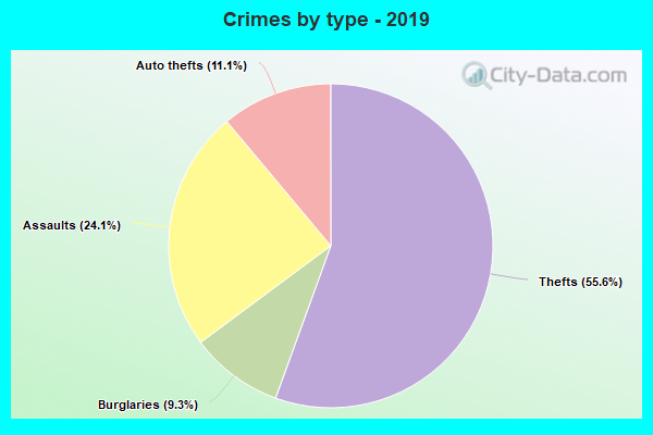 Crimes by type - 2019