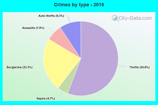 Crimes by type - 2019