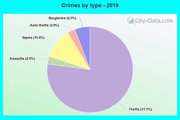 Crimes by type - 2019