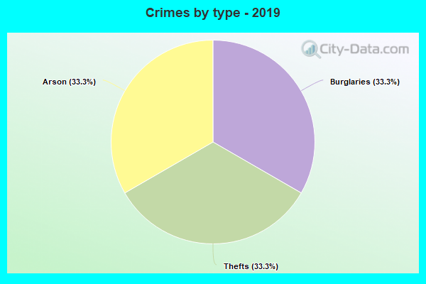 Crimes by type - 2019