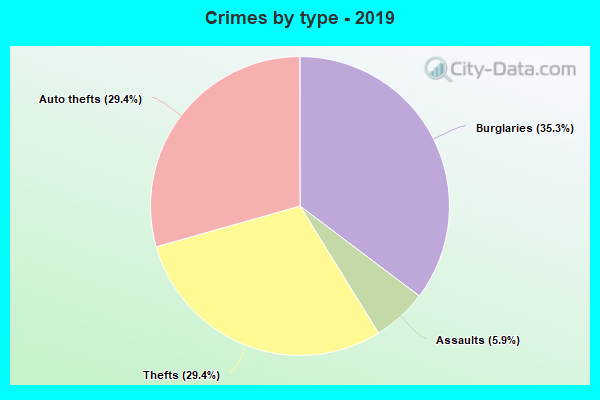 Crimes by type - 2019