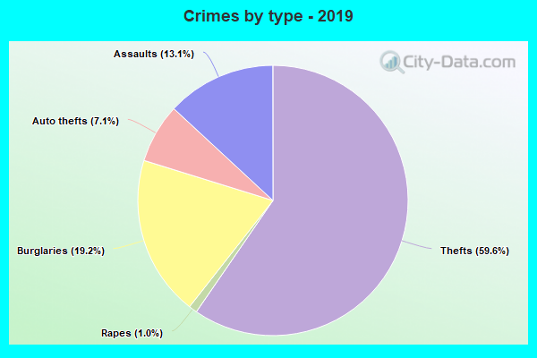 Crimes by type - 2019