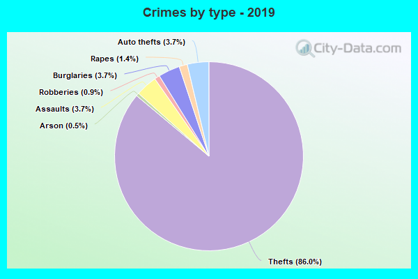 Crimes by type - 2019