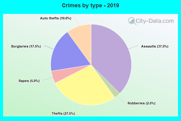 Crimes by type - 2019