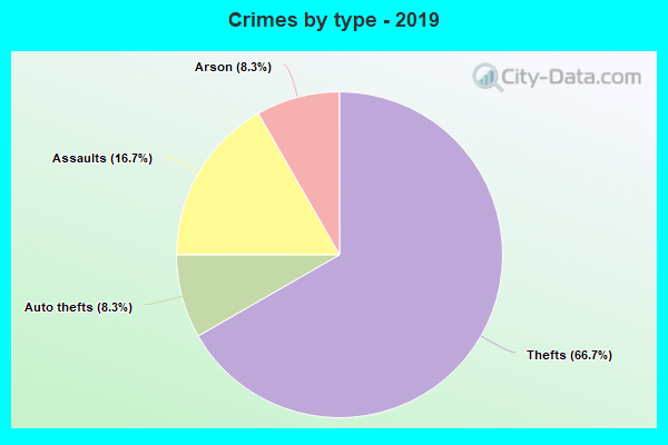 Crimes by type - 2019