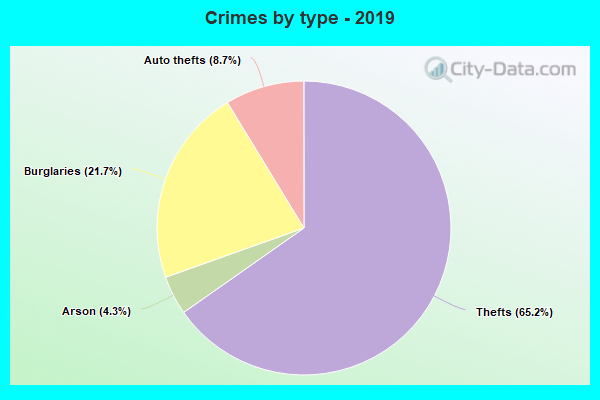 Crimes by type - 2019