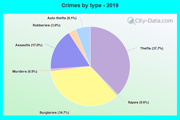 Crimes by type - 2019