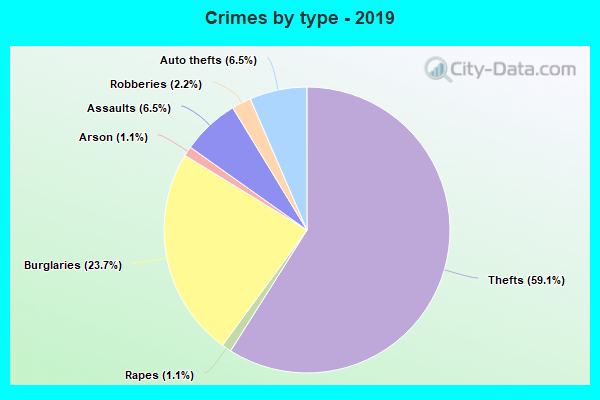 Crimes by type - 2019