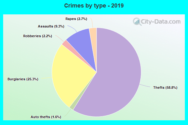 Crimes by type - 2019