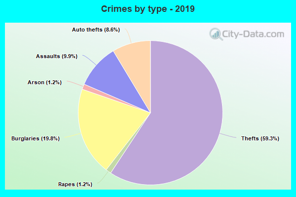 Crimes by type - 2019