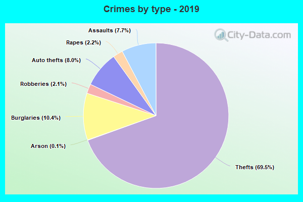 Crimes by type - 2019