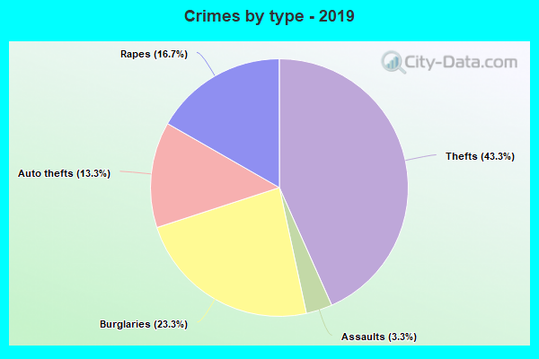 Crimes by type - 2019