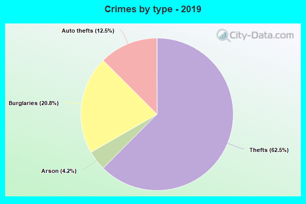 Crimes by type - 2019