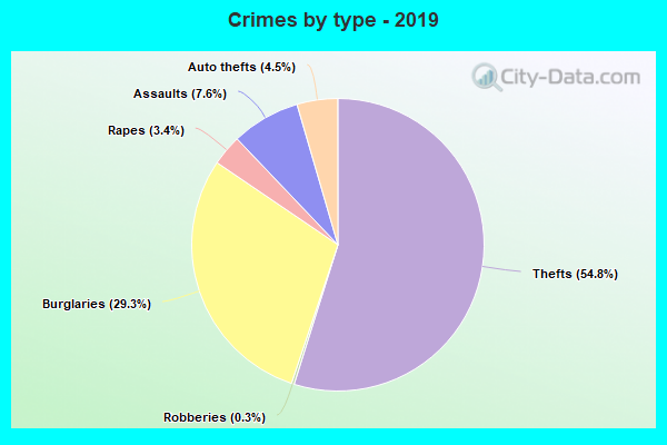 Crimes by type - 2019