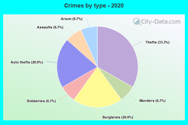 Crimes by type - 2020