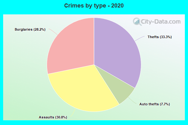 Crimes by type - 2020