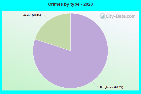 Crimes by type - 2020