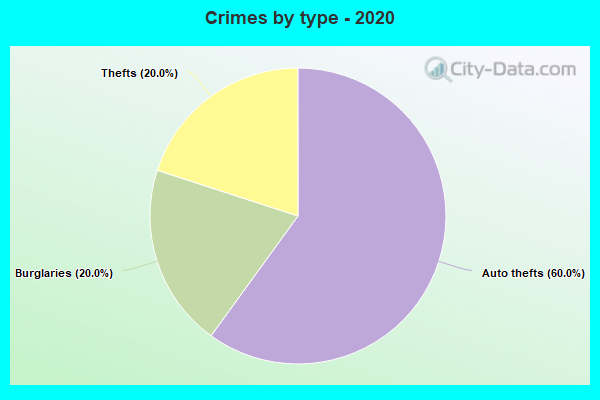 Crimes by type - 2020