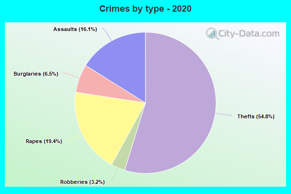 Crimes by type - 2020