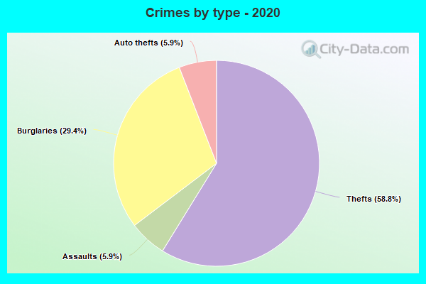 Crimes by type - 2020