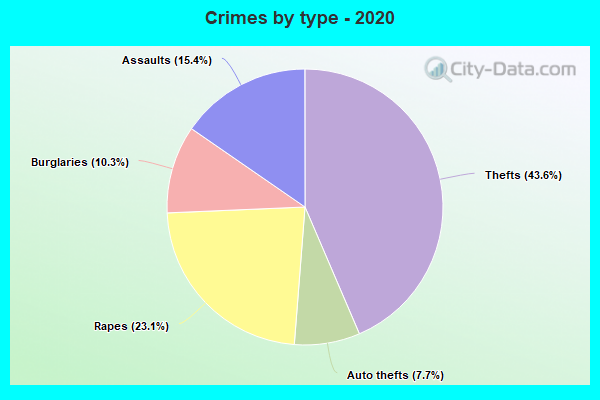 Crimes by type - 2020