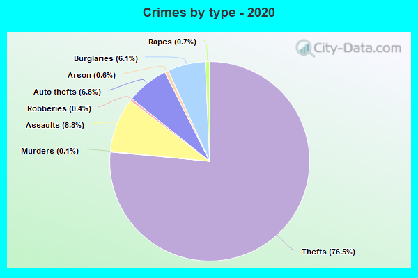 Crimes by type - 2020