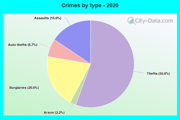 Crimes by type - 2020