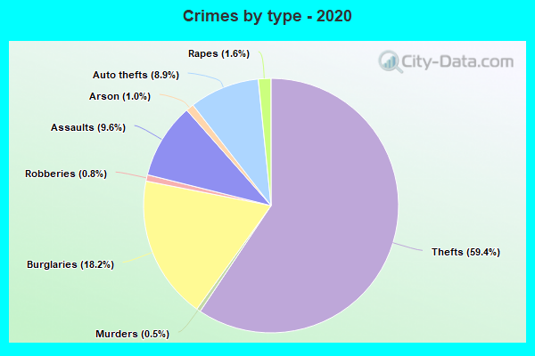 Crimes by type - 2020