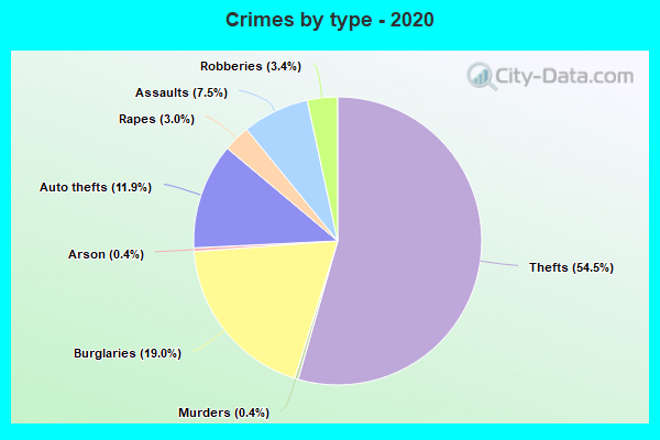 Crimes by type - 2020