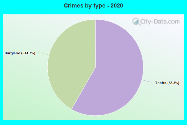 Crimes by type - 2020