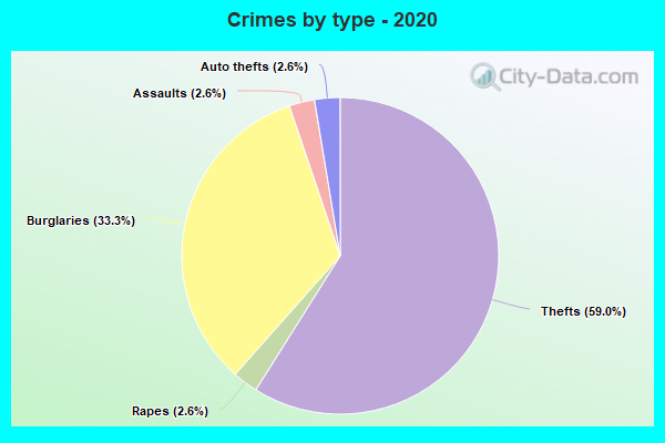 Crimes by type - 2020