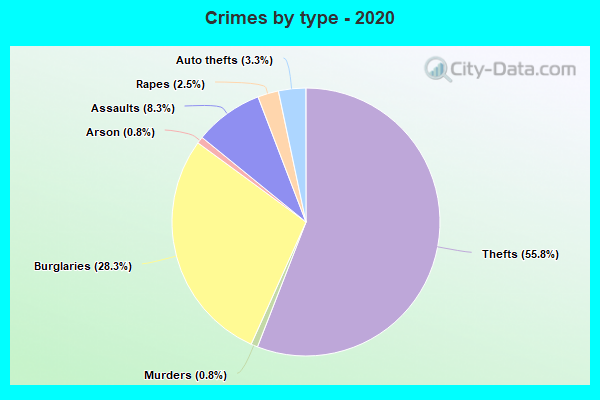 Crimes by type - 2020