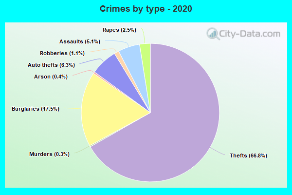 Crimes by type - 2020