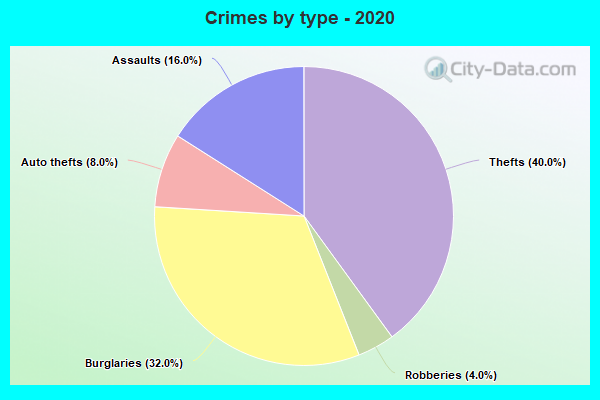 Crimes by type - 2020