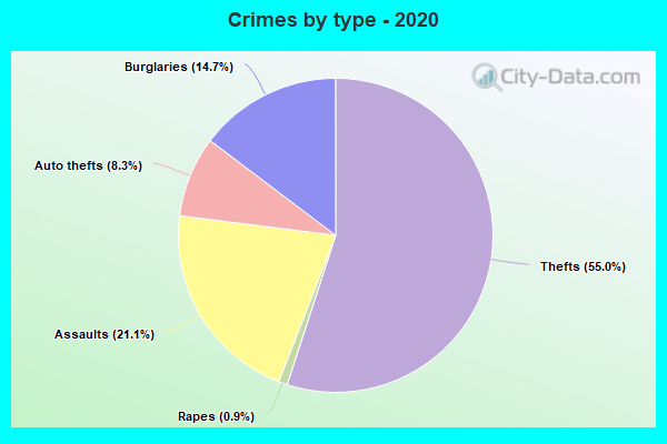 Crimes by type - 2020