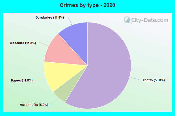 Crimes by type - 2020