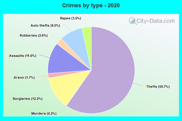 Crimes by type - 2020