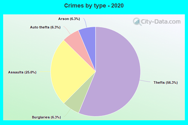 Crimes by type - 2020