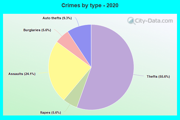 Crimes by type - 2020