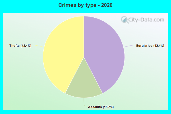 Crimes by type - 2020