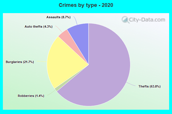 Crimes by type - 2020