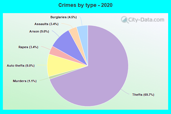 Crimes by type - 2020