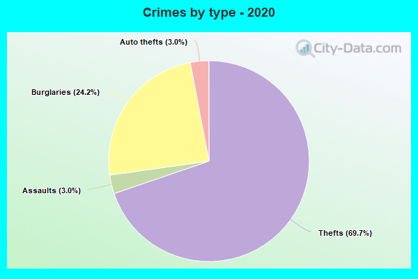 Crimes by type - 2020