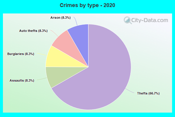 Crimes by type - 2020